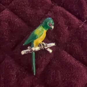 Small Green and Gold Parrot  Pin